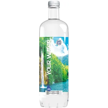 Вода негазированная Darida Your Water 1л